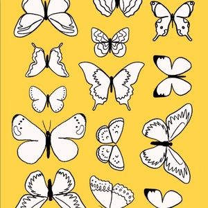 Meet your Posher, Maddie